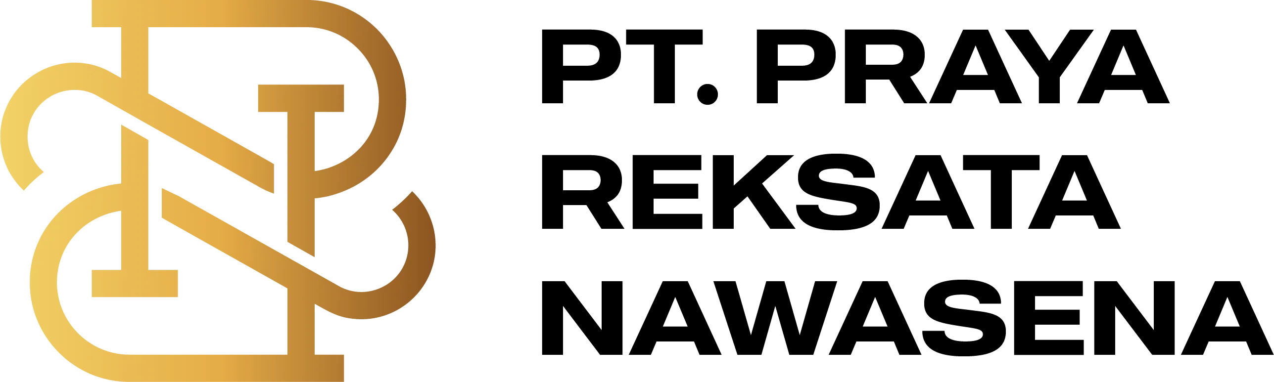 PT Borsumy logo
